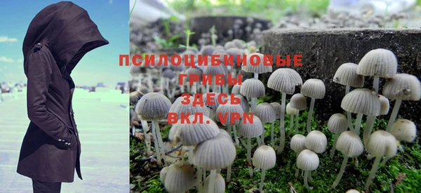 крисы Волоколамск