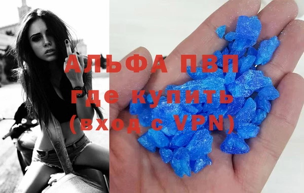 a pvp Бородино