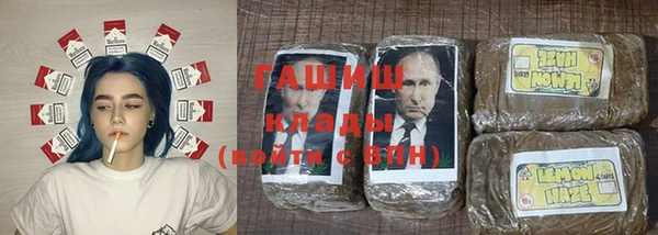 a pvp Бородино